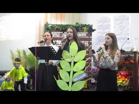 Видео: Плоды, плоды, плоды