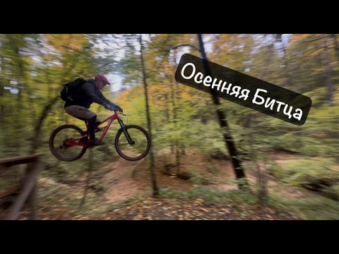 Видео: Осенняя Битца