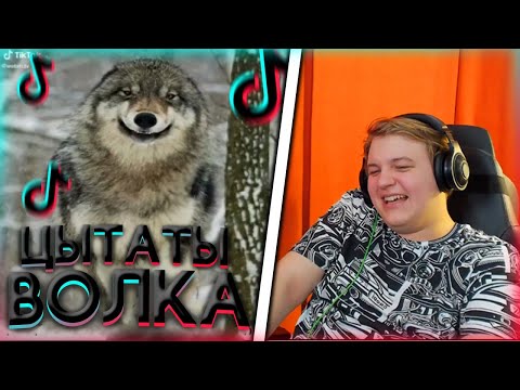Видео: ПЯТЁРКА УМИРАЕТ ОТ СМЕХА ОТ ЦИТАТ ВОЛКА РЕАКЦИЯ НА ЦИТАТЫ ВОЛКА| Нарезка Стрима Фуга ТВ (КЛЭЙкрафт)