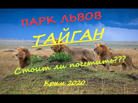 Видео: КРЫМ ПАРК ЛЬВОВ ТАЙГАН г БЕЛОГОРСК 2020