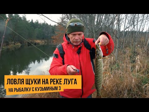 Видео: Ловля щуки на реке Луга / На рыбалку с Кузьминым 3 // №1