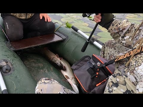 Видео: Отлично погоняли щук в не погоду...