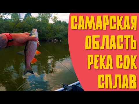 Видео: Сплав со спиннингом по реке Сок, Самарская область. Опять ищем голавля