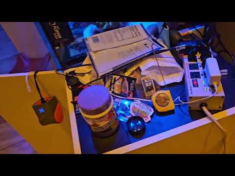 Видео: Переходим на гидро с Apex! | Очистка крысиного гнезда