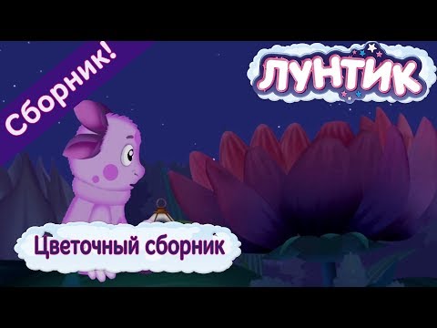 Видео: Цветочный сборник 🌼 Лунтик 🌼 Сборник мультфильмов