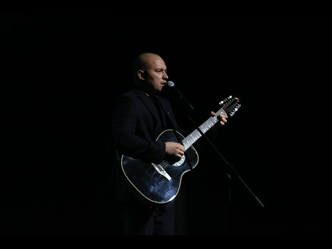 Видео: Александр Розенбаум – Стрекоза/Василий Коваленко/Кавер под гитару