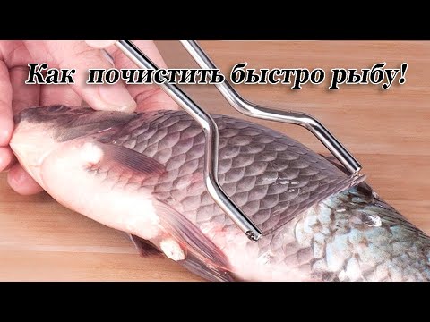 Видео: Чистка рыбы скалером с AliExpress
