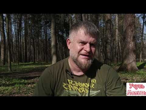 Видео: Фидерные кормушки #3 (2025)