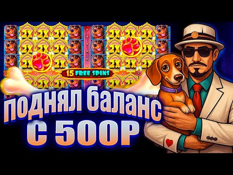 Видео: ПОДНЯЛ БАЛАНС С 500Р В СЛОТЕ The Dog House Multihold / СЛОВИЛ 800Х!!! / БОНУС ALL-IN! ЭТО ЗАНОС!!!