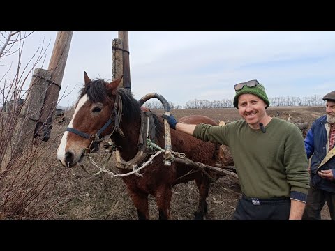 Видео: Грузовик сломался — пересел на лошадь! Ремонт самодельного грузовика!