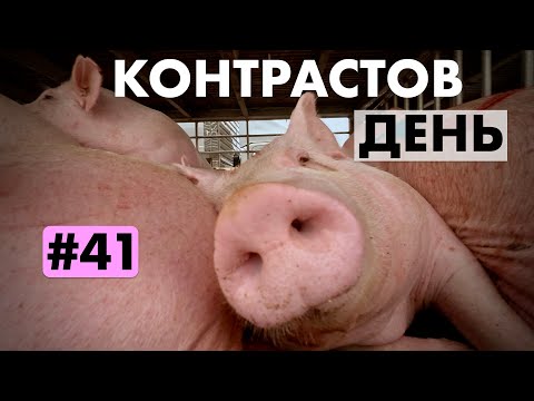 Видео: День Въетнамских контрастов