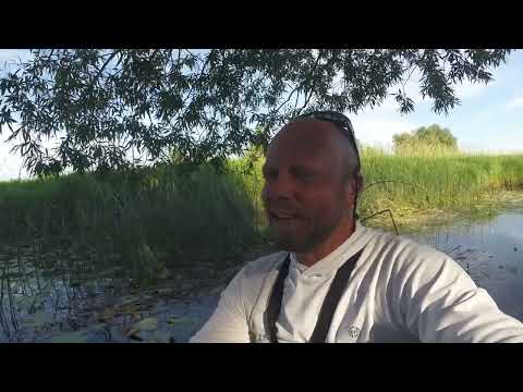 Видео: Ловля ЩУКИ на МАЛОЙ РЕКЕ С ЛОДКИ летом! Рыбалка на СПИННИНГ!