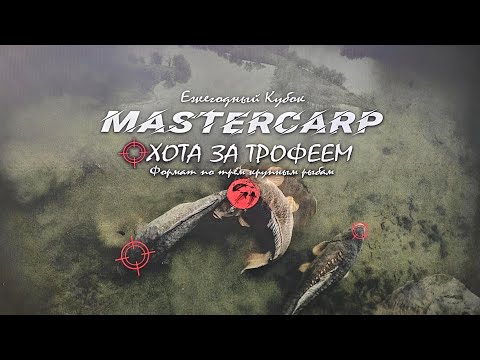 Видео: Ежегодный турнир MASTERCARP Охота за трофеем
