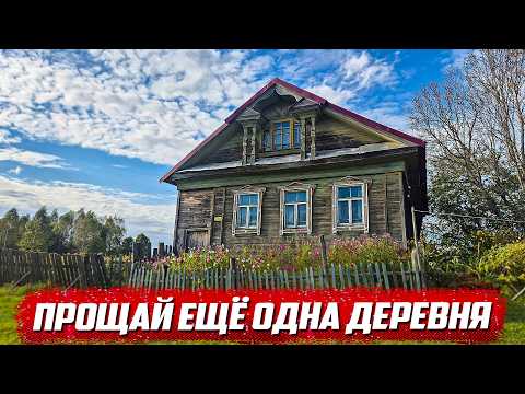 Видео: Умирающие деревни Тверской области | Ржевский р/н