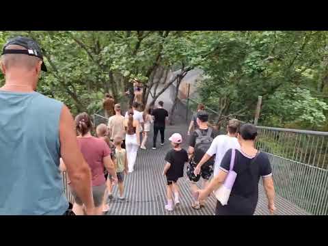 Видео: Сафари-парк / Владивосток / Дикие животные 