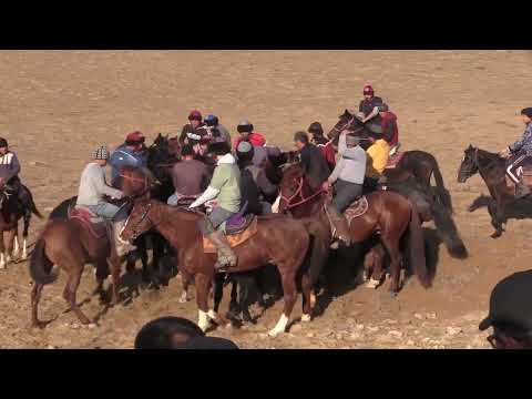 Видео: Жырык кокпар тобелес не себеб