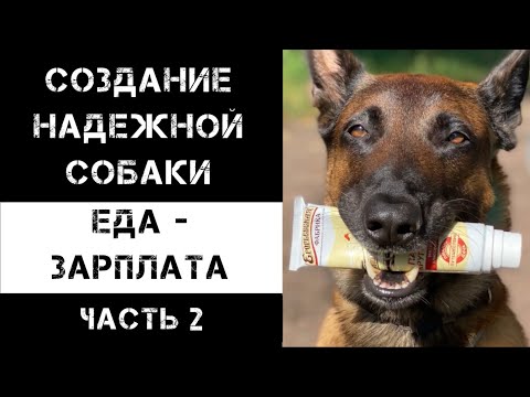 Видео: Еда - зарплата. Часть 2.