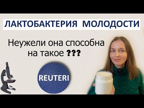Видео: Чудесная лактобактерия РЕУТЕРИ - работает