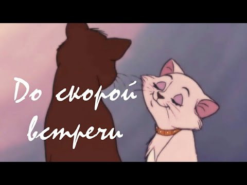 Видео: Animash ДО СКОРОЙ ВСТРЕЧИ - КЛИП ЗВЕРИ (Коты аристократы, Балто, король лев, Леди и бродяга, Бемби)