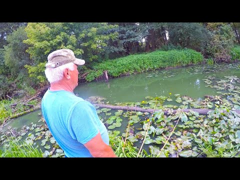 Видео: В ЦЬОМУ БОЛОТІ 50 РОКІВ НІХТО НЕ РИБАЛИВ! ТРОФЕЙ ЗА ТРОФЕЄМ!