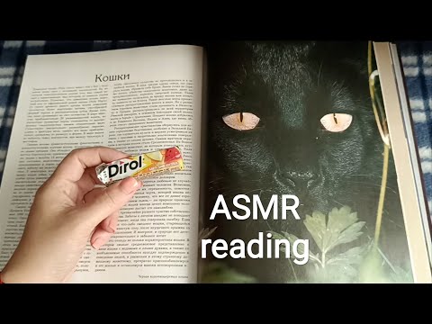Видео: ASMR reading / АСМР чтение / жвачка / шёпот / chewingsounds/ chewingum / whisper