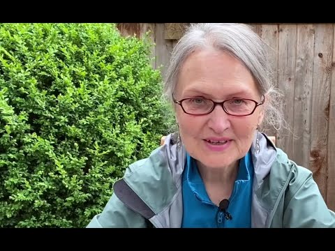 Видео: НУЖНЫ ЛИ ВЫ ЕМУ? ЕГО ЧУВСТВА. КАК ИЗМЕНИЛОСЬ ЕГО ОТНОШЕНИЕ К ВАМ НА СЕГОДНЯ❓ Гадание Таро Гадание