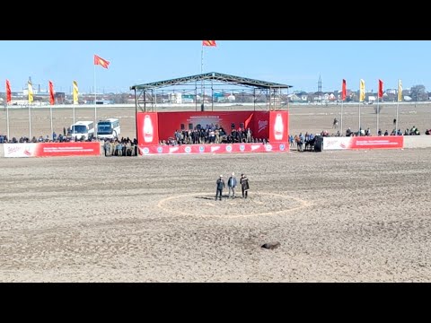 Видео: Достук & Ынтымак/ Нооруз 2023