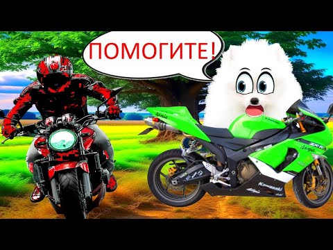Видео: ШанельПОПАЛА В АВАРИЮ НА МОТОЦИКЛЕ!!!