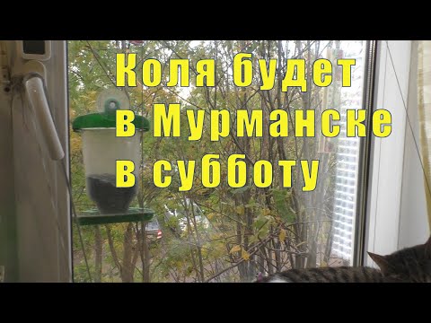 Видео: Я В ШОКЕ! ЗВОНИЛ КОЛЯ - ОН КУПИЛ БИЛЕТЫ И ПРИЕЗЖАЕТ / 22 и 23  и 24 сентября 2025