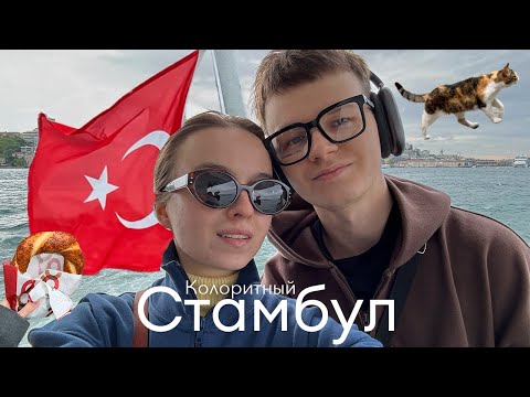 Видео: СТАМБУЛ 2024: Что нужно знать? Изучение турецкого языка, топовые места и моя первая Турция