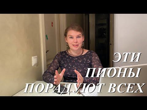 Видео: Пять пионов, которые не оставят вас равнодушными