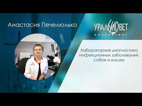 Видео: Вебинар "Микоплазмоз, хламидиоз, герпес. Патогенез и диагностика", лектор Анастасия Печелюлько
