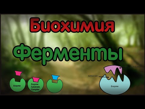 Видео: Биохимия. Лекция 21. Ферменты. Part 1.