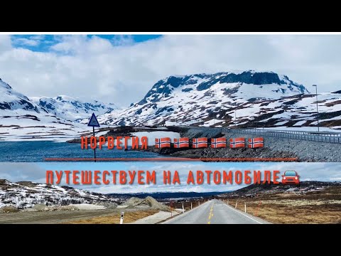 Видео: Путешествуем по Норвегии на машине. Хардангервидда. Яйло.