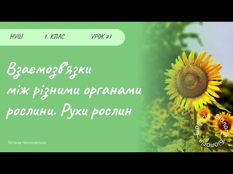 Видео: Взаємозв’язки між різними органами рослини. Рухи рослин