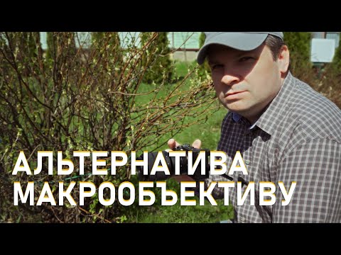 Видео: Макрообъектив это панацея или есть альтернатива для Sony.  Макрокольца для макросъемки.