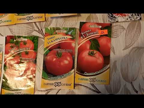Видео: Проверенные и устойчивые к болезням томаты от компании "Гавриш"