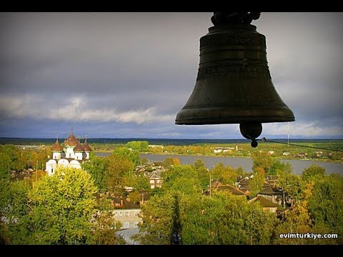 Видео: Целебный колокольный звон и пение птиц в дремучем лесу на рассвете.