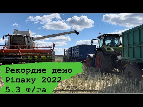Видео: Рекорд!!! Результати урожайності ріпаку на демо полі.