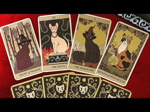 Видео: Новинка!! “Cats rule the Earth “ Tarot 🐈‍⬛🐈🐈‍⬛Обзор колоды Таро «Кошки правят миром»