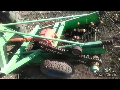 Видео: Уборка картофеля самодельной капалкой.