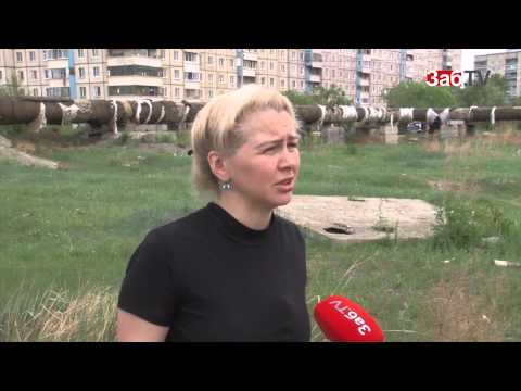 Видео: Догхантеры заживо сожгли бездомную собаку в Чите