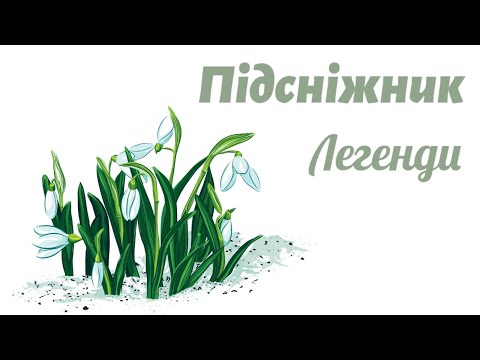 Видео: Підсніжник - перша весняна квітка🌸 Легенди про підсніжник