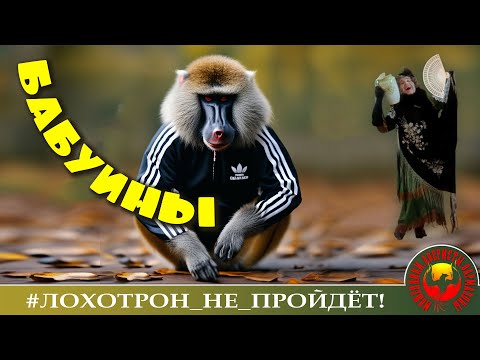 Видео: Кто не запер клетку? (Автор - Наталья Рамирес)