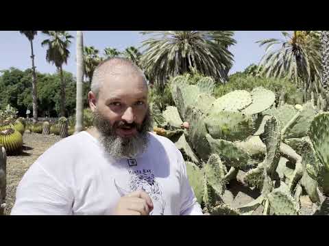 Видео: Не только грибы. Кактусовый сад в Тель-Авиве. Михаил Вишневский