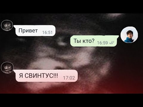 Видео: Мне Написал СВИНТУС Он пришёл За мной 🐷😱