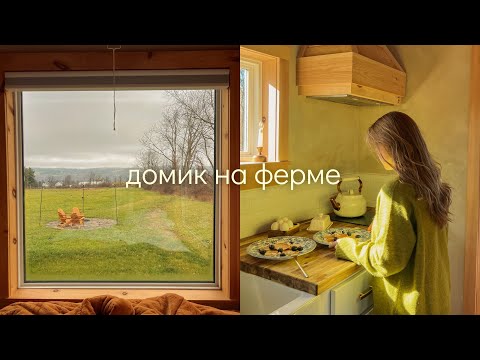 Видео: осень в домике на ферме 🍂: альпаки, уют, утренняя рутина и посиделки у костра 🐑🧺