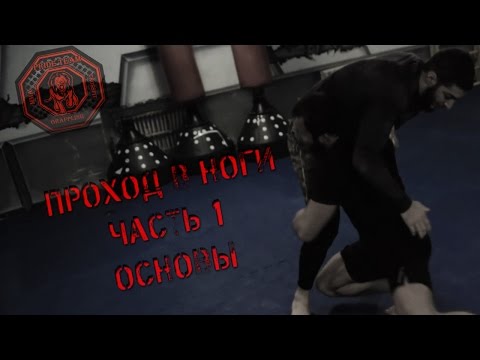 Видео: Проход В Ноги. Часть 1. Основы