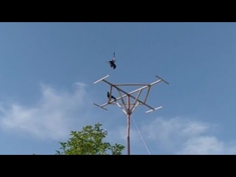 Видео: САМАРКАНДСКИЕ БОЙНЫЕ ГОЛУБИ ЧАСТЬ 6