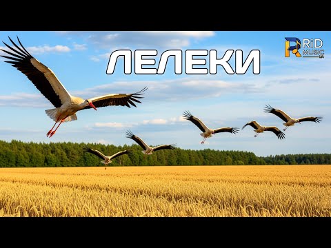 Видео: RiD - Лелеки